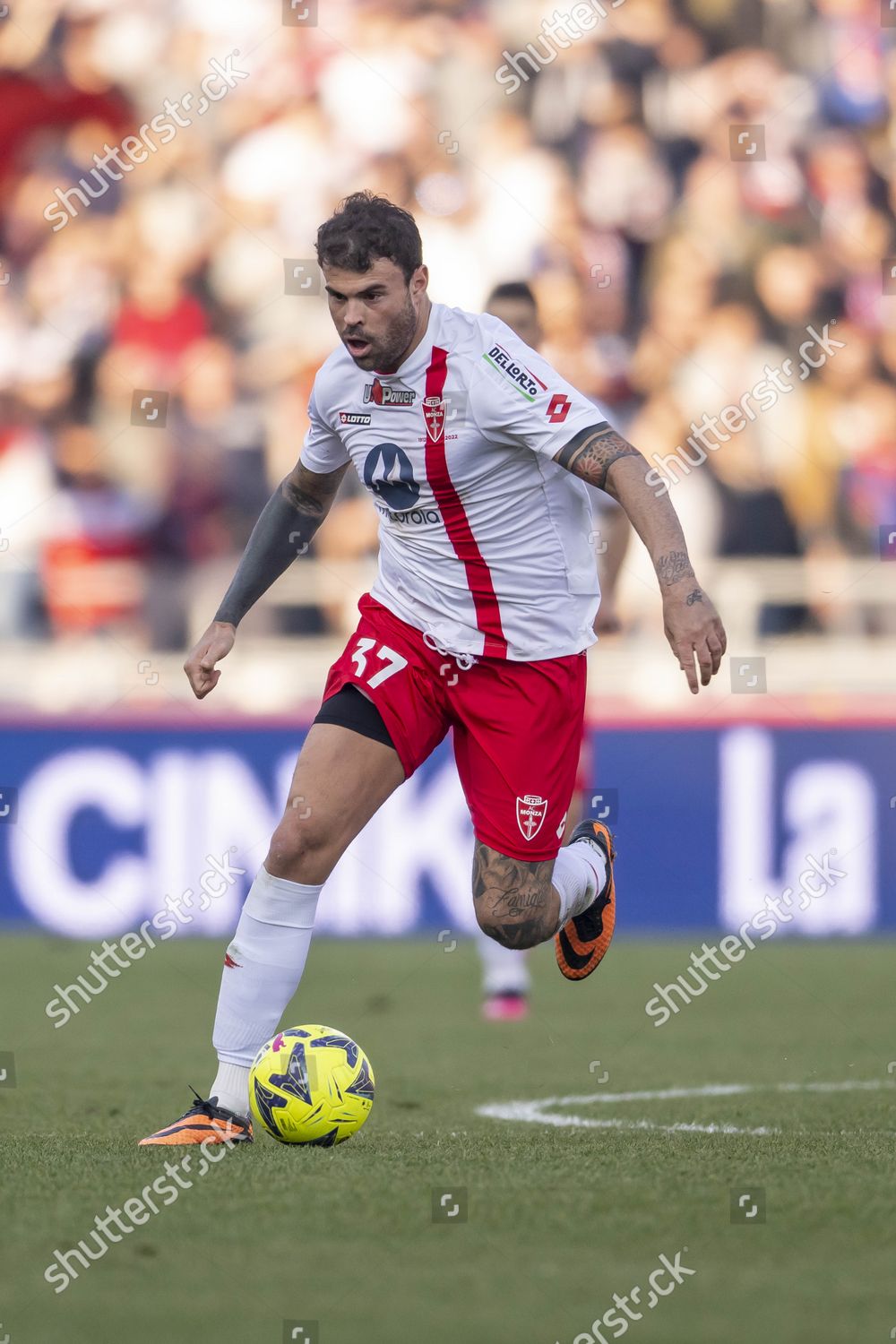 Andrea Petagna reflects on personal and professional rebirth after Monza's promotion