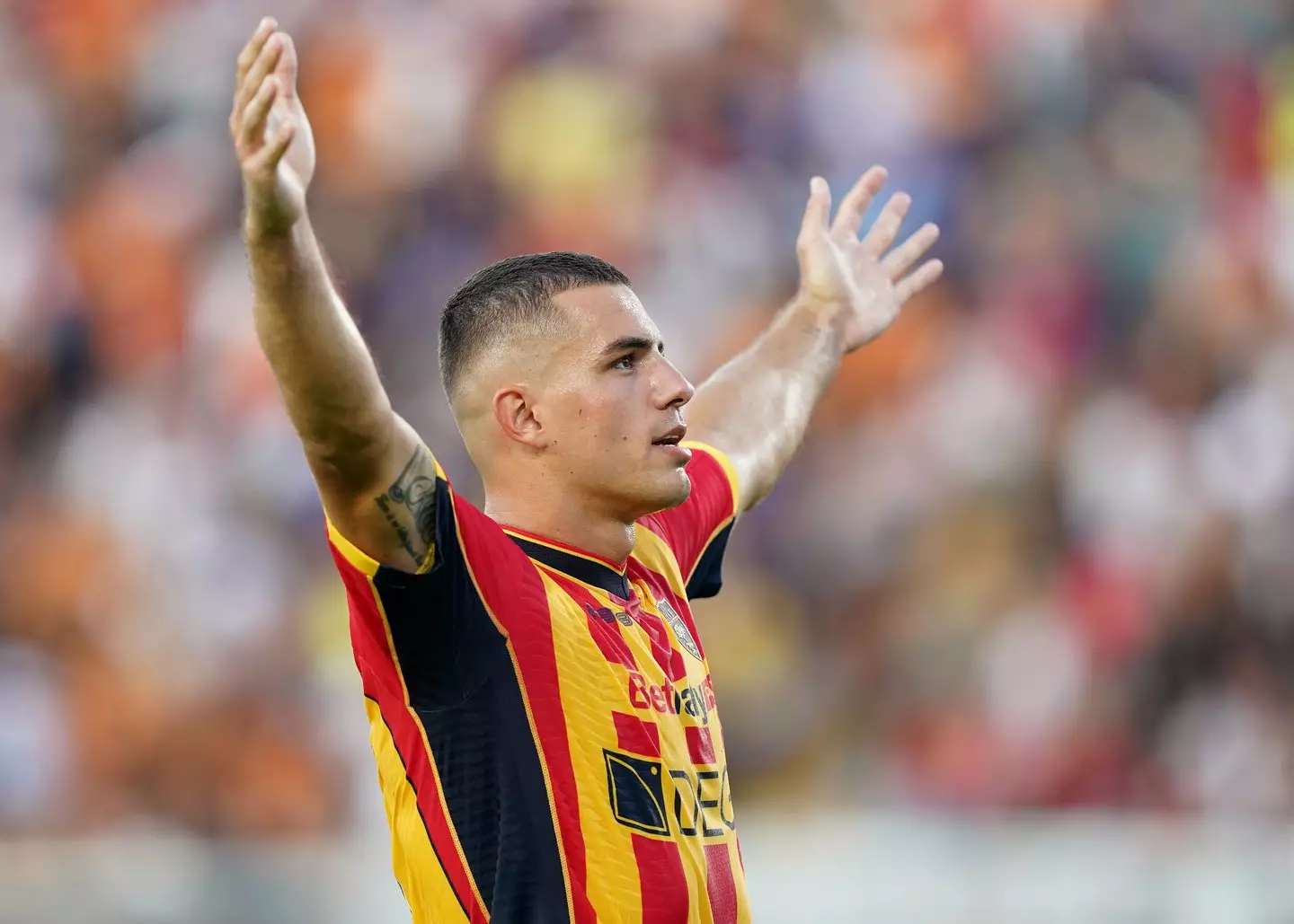 Atalanta interessata a Nikola Krstovic del Lecce per sostituire l'infortunato Scamacca