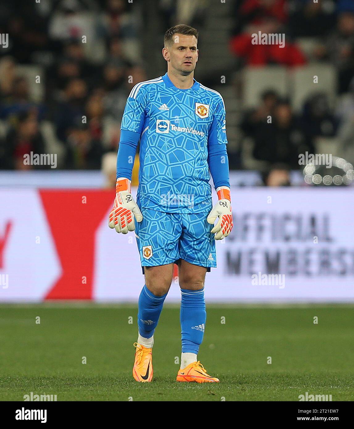 Manchester United target Blackburn's Tom Atcheson and Bayern's Maycon Cardozo